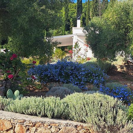 Villa Buras Skinária 외부 사진