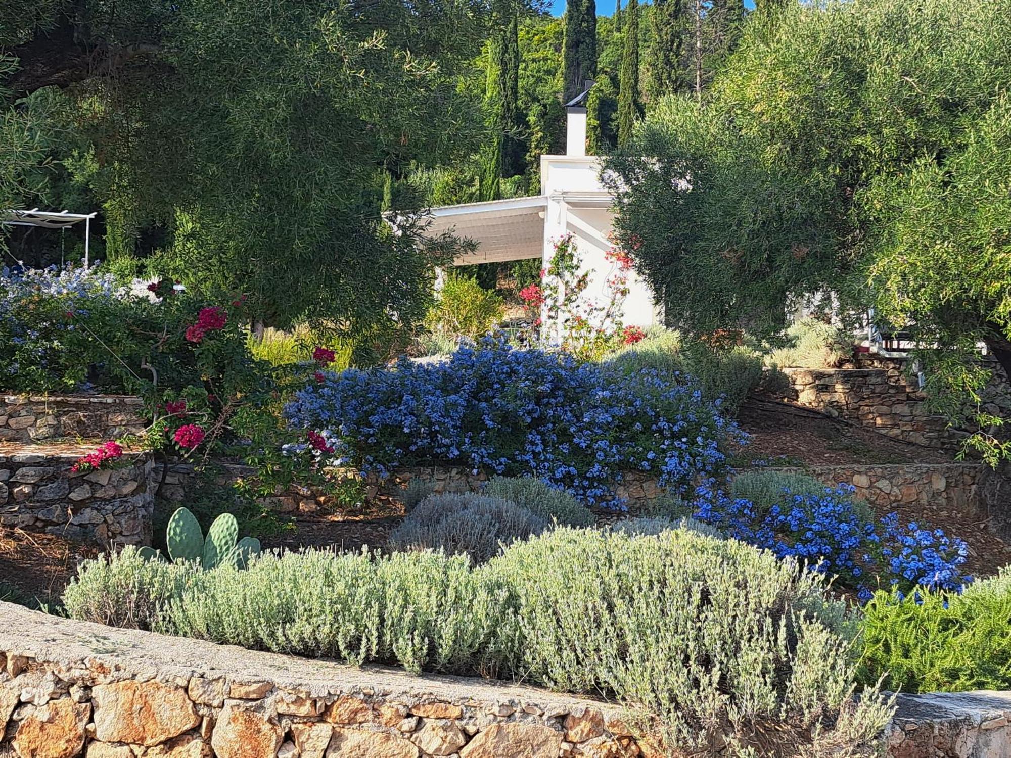 Villa Buras Skinária 외부 사진