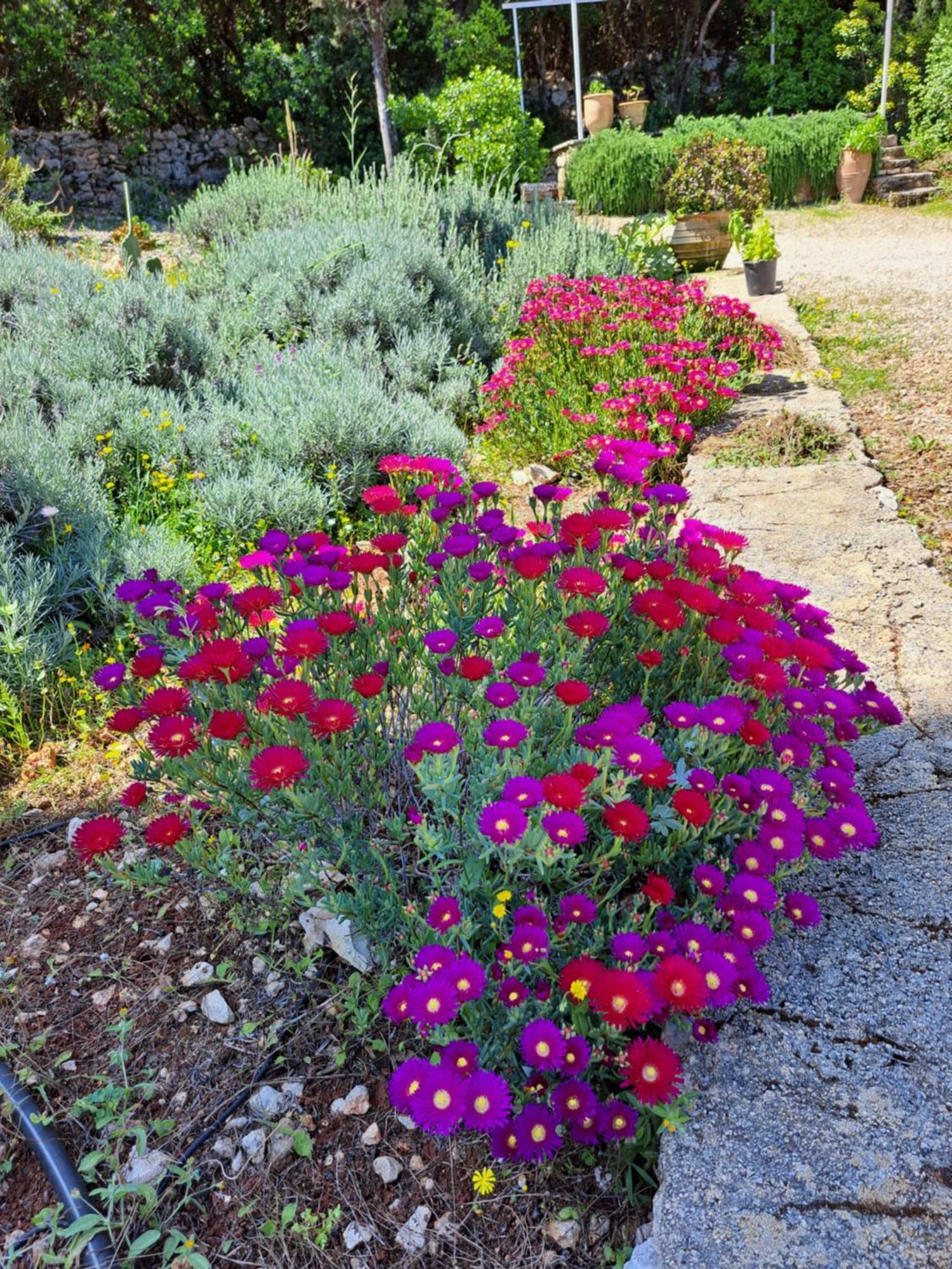 Villa Buras Skinária 외부 사진